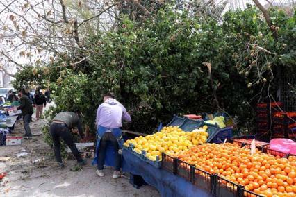 Marmara’nın batısı için ‘fırtına’ uyarısı