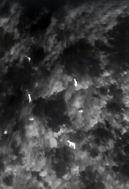 Üreme dönemindeki yaban keçileri, termal kameralı dronla izleniyor