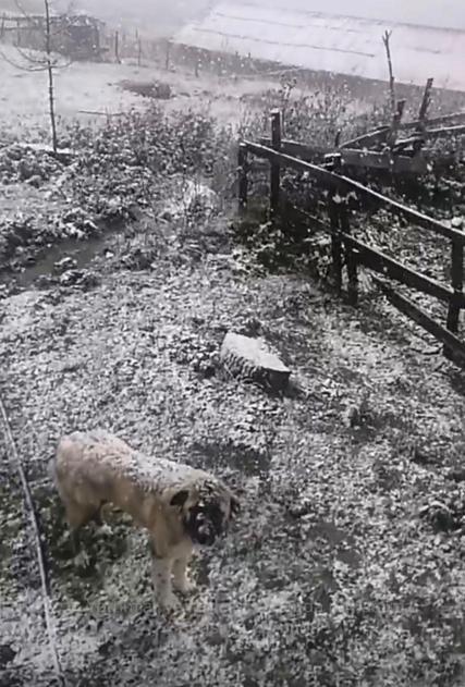 Ordu’nun yüksek kesimleri beyaza büründü