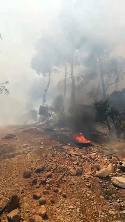 Antalyada çıkan orman yangını kontrol altında