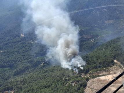 Antalyada çıkan orman yangını kontrol altında