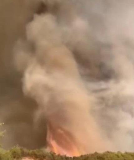 Sakaryadaki orman yangını 3üncü gününde