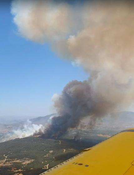 İzmirde çıkan orman yangını kontrol altında