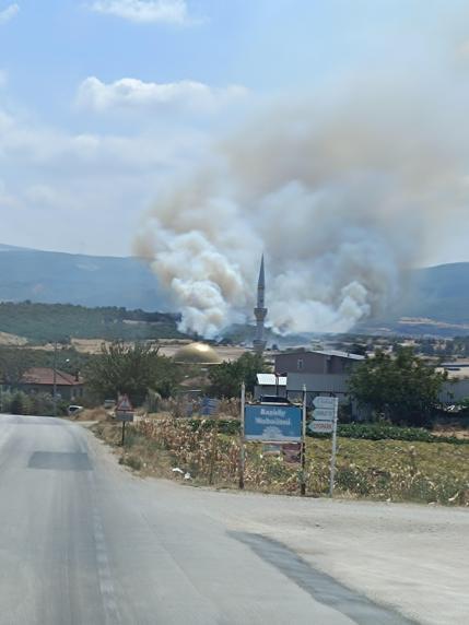 Bursada orman yangını kontrol altında