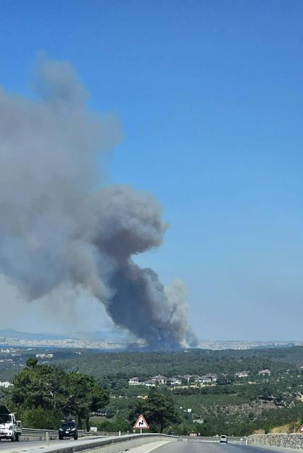 Çanakkalede orman yangını