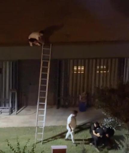 Konseri izlemek için çatıya çıkan gençlere şiddet uygulayan kişi tutuklandı