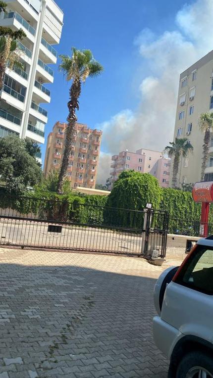 Antalyada orman yangını