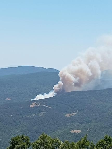 Bursanın 2 ilçesinde orman yangını