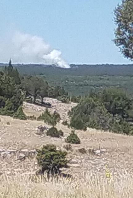 Eskişehirde orman yangını kontrol altında