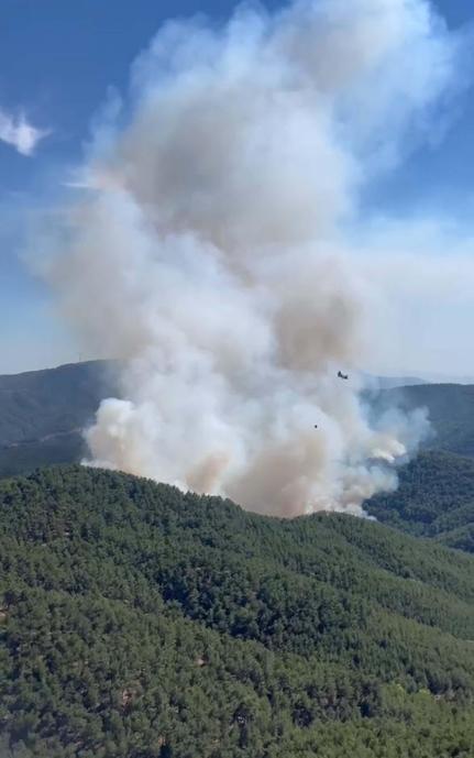 İzmir’de orman yangını