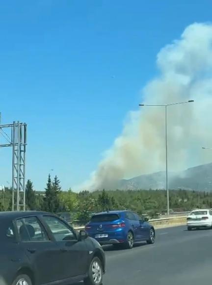 İzmirde orman yangını