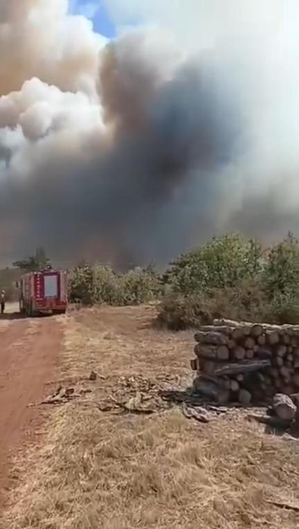Karabük’te orman yangını