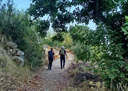 Likya Yolunda kaybolan Çinli turistin cansız bedeni bulundu