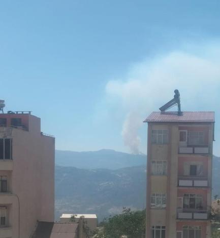 Karamanda orman yangını