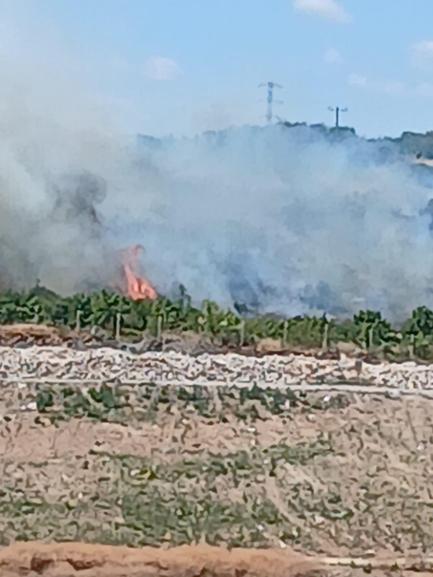 Bursanın 2 ilçesinde orman yangını