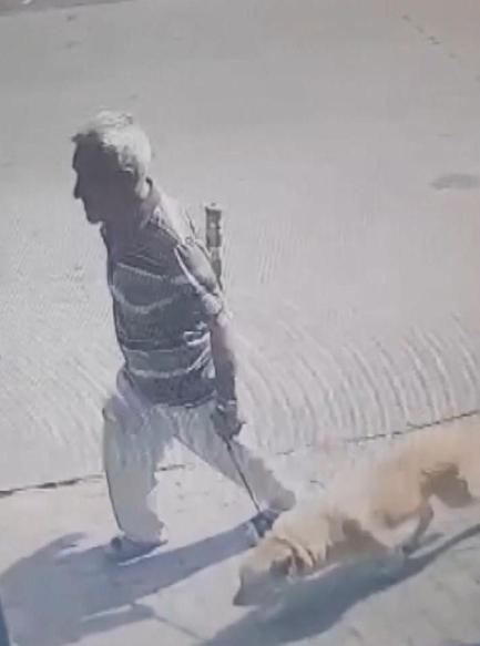 Bakırköyde köpeğe istismar davasında karar: 1 yıl 6 ay hapis cezası