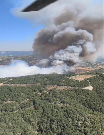 Bilecikte orman yangını