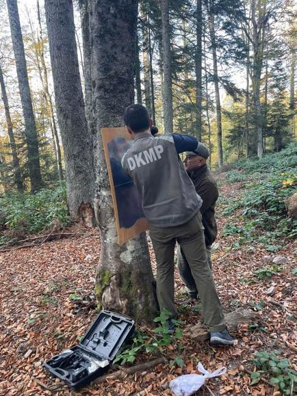 Ayının ormana yerleştirilen aynaya verdiği tepki fotokapanda