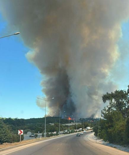 Çanakkalede orman yangını