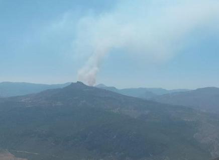 Karamanda orman yangını