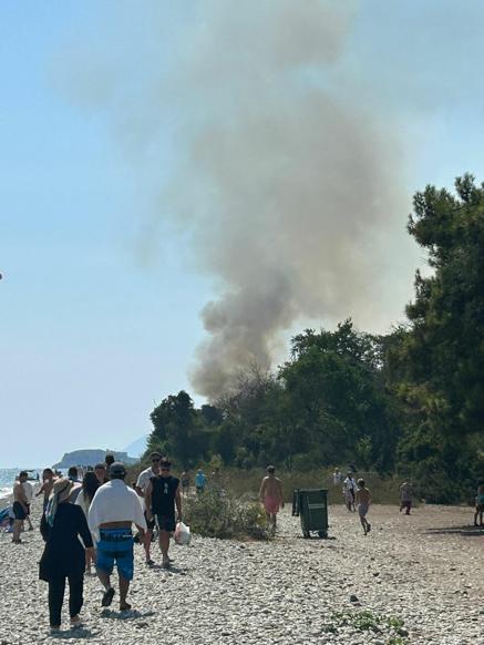 Muğlada orman yangını