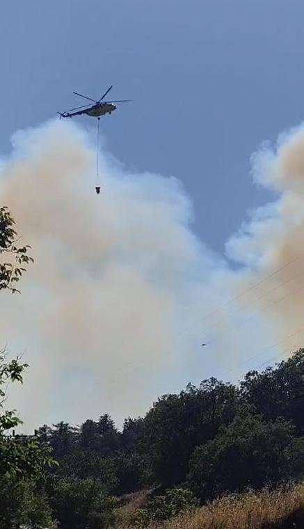 Boluda çıkan orman yangını kontrol altında