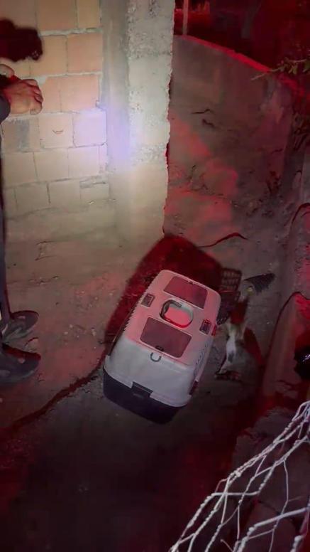 Karabük’teki orman yangınları 5’inci günde