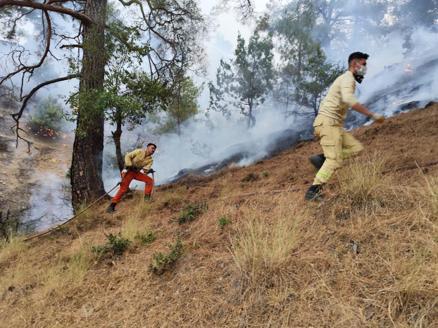 Kahramanmaraş’taki orman yangınında 2nci gün