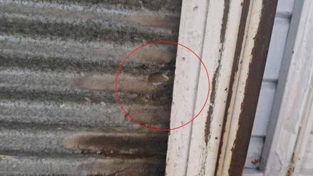 Ailesinin yanında öldürülen Birdalın babası: Maskeli 4 kişi oğlumu katletti