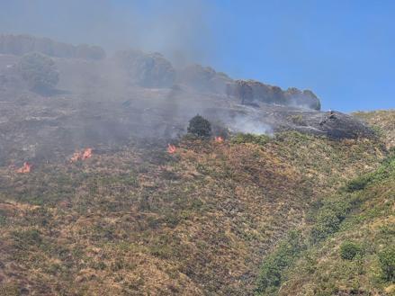 Marmara Adasındaki orman yangını söndürüldü