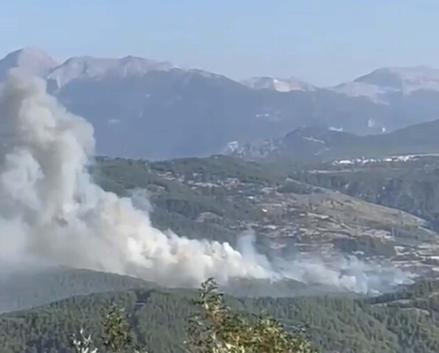 Muğlada orman yangını