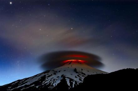 Yılın Yaban Hayatı Fotoğrafçısı Ödülünü kazanan belli oldu