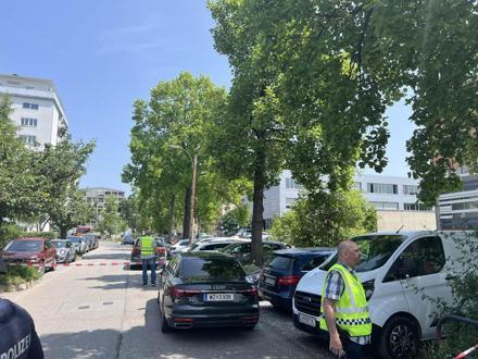 Avusturyada liseye silahlı saldırı: 10 kişi hayatını kaybetti