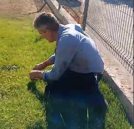 Sivasta otomobil alev aldı; sürücü yaralandı