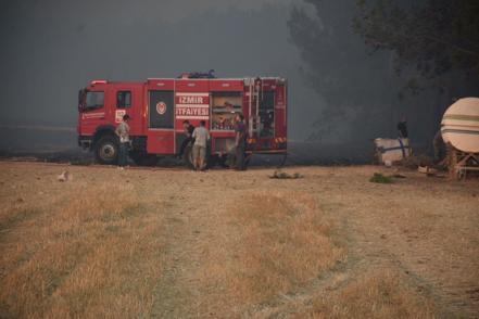 Bucada orman yangını