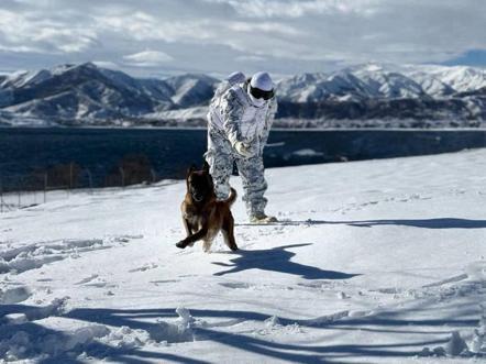 Mehmetçikten derin karda köpekli arama eğitimi
