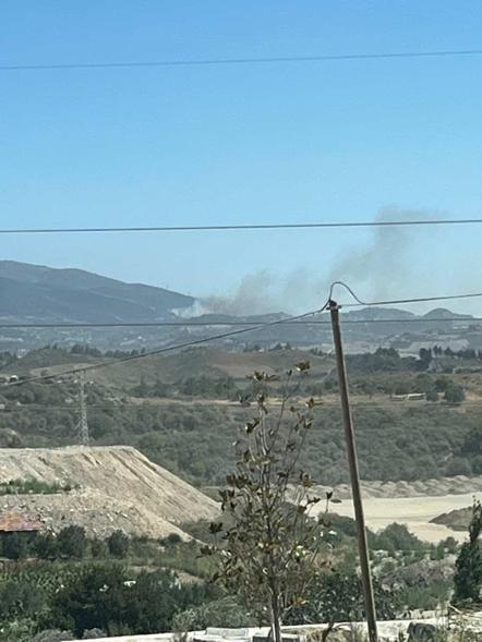 Hatayda orman yangını