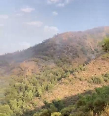 Muğlada orman yangını ikinci gününde