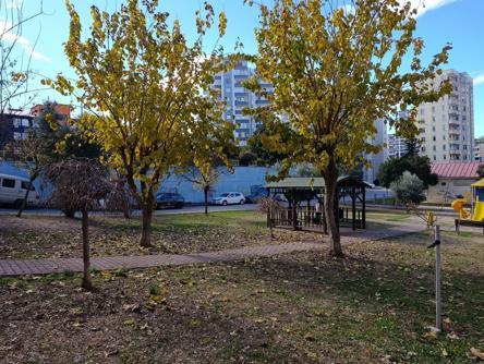 Sahipsiz 2 kurt köpeği, tasmayla gezdirilen evcil köpek ile sahibine saldırdı