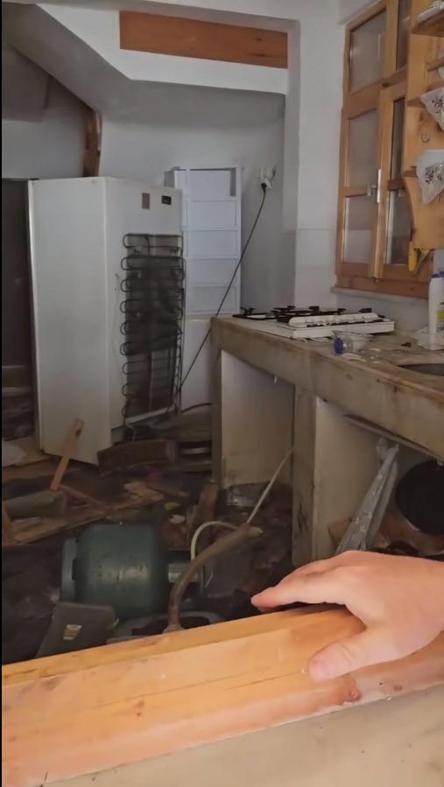 Aç kalan ayılar, belediye başkanının yayla evine girdi