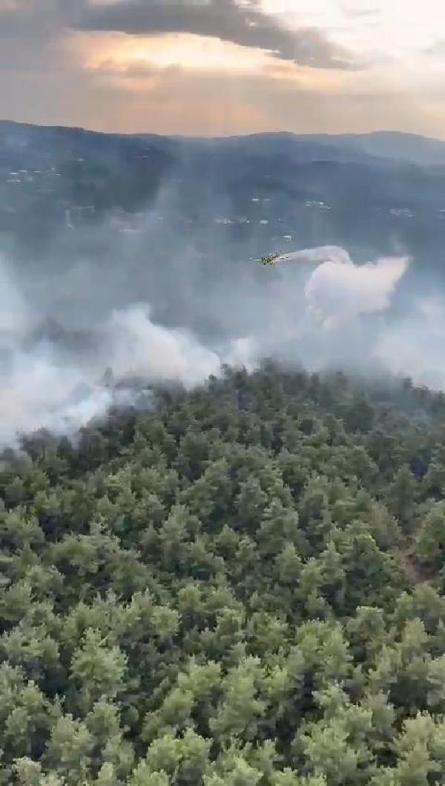 Bursada orman yangını