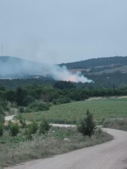 Bandırmada orman yangını; 8 saat sonra kontrol altında