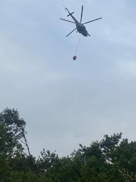 Bandırmada orman yangını; 8 saat sonra kontrol altında