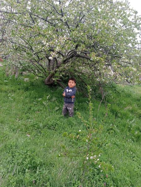 Kamyonet çarpması sonucu ölen Yakup Canın dedesi: Babaannesine koşuyordu