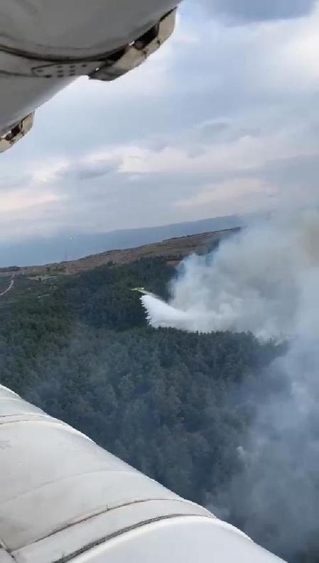 Bursada orman yangını