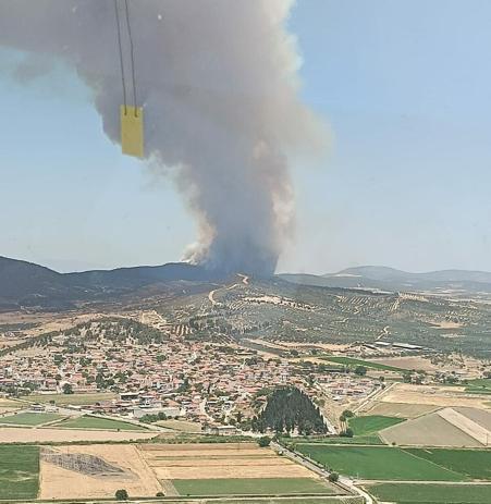 İzmirde çıkan orman yangını kontrol altında