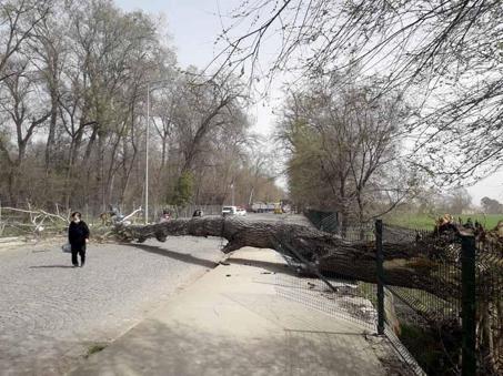 Marmara’nın batısı için ‘fırtına’ uyarısı
