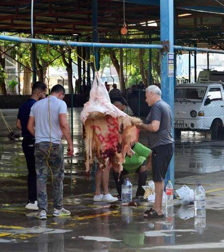 Sokakta kurban kesip, atıklarını gömenlere 29 bin 529 lira ceza