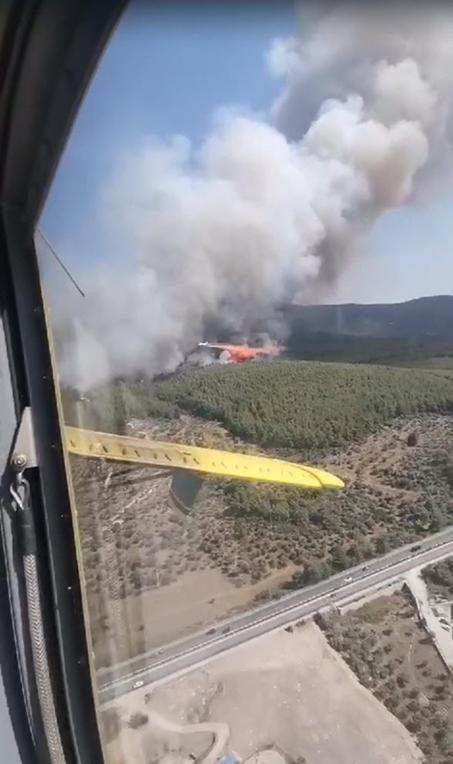 Milasta makilik yangını, ormana sıçradı