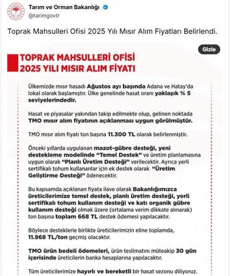 TMO 2025 yılı mısır alım fiyatı belli oldu